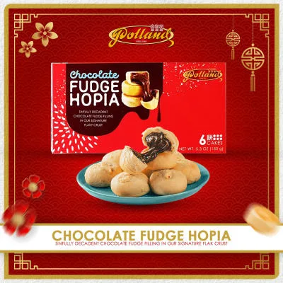 Polland Hopia Chocolate Choco Fudge 6pcs - Festive Sweets Gifts Savoury Snacks